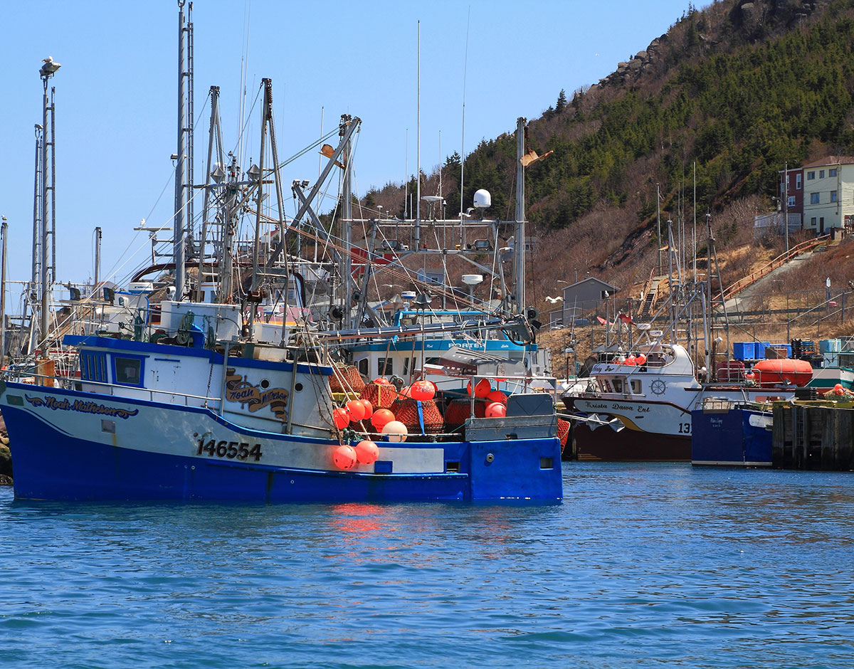 FISHERIES AND MARINE